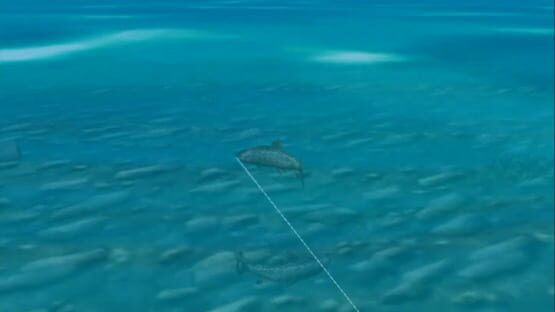 Reel Fishing: Wild screenshot 1