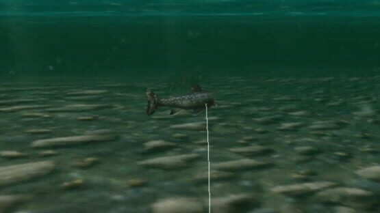 Reel Fishing: Wild screenshot 3