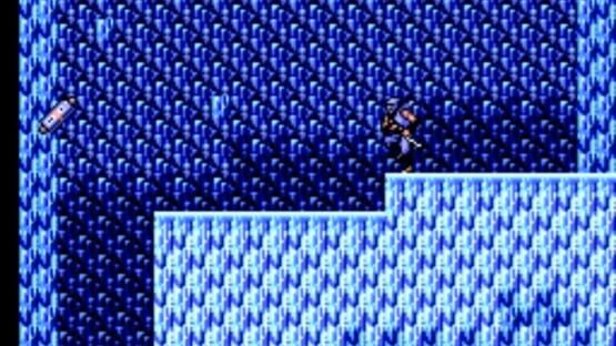 Ninja Gaiden screenshot 2