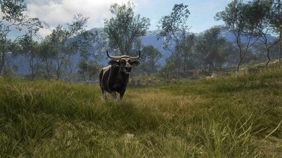 theHunter: Call of the Wild - Emerald Coast Australia screenshot 7