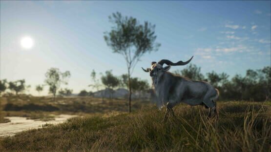 theHunter: Call of the Wild - Emerald Coast Australia screenshot 14