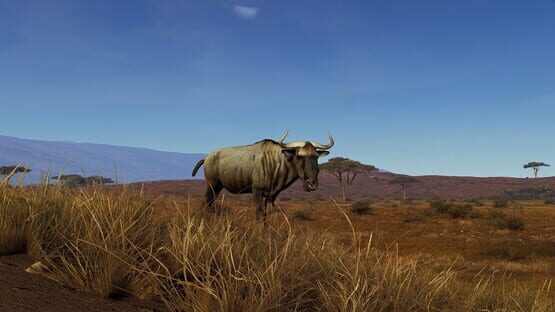 Way of the Hunter: Tikamoon Plains screenshot 4