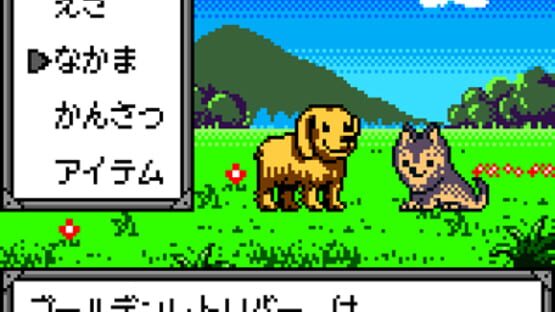Kawaii Pet Shop Monogatari screenshot 10