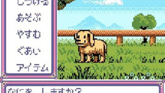 Kawaii Pet Shop Monogatari 2 screenshot 3