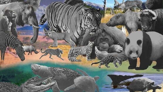 Discovering Endangered Wildlife screenshot 5