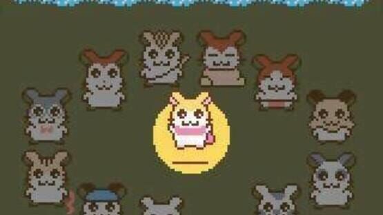 Tottoko Hamtaro: Tomodachi Daisakusen Dechu screenshot 2