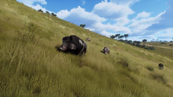 Way of the Hunter: Matariki Park screenshot 2
