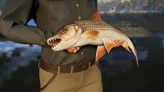 Call of the Wild: The Angler - Ultimate Fishing Bundle screenshot 2