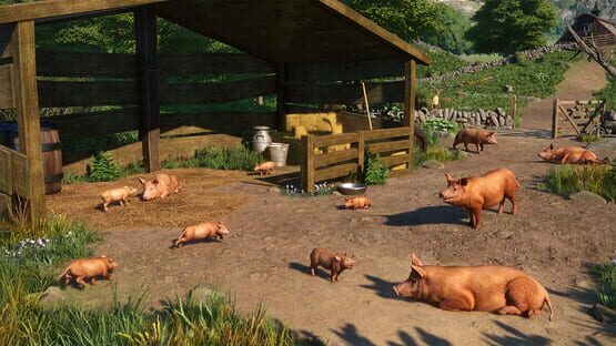 Planet Zoo: Barnyard Animal Pack screenshot 5