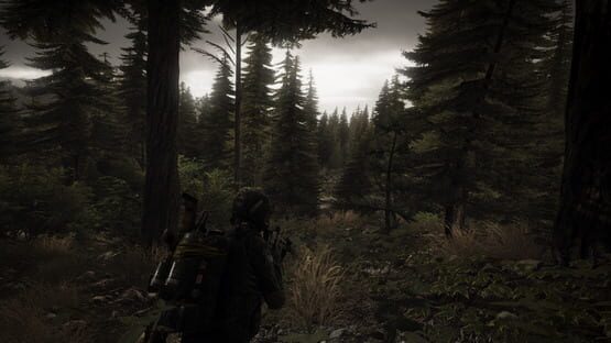 Tom Clancy's Ghost Recon: Wildlands screenshot 9