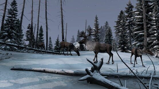DayZ: Frostline screenshot 8