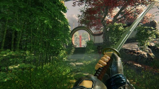 Shadow Warrior screenshot 6