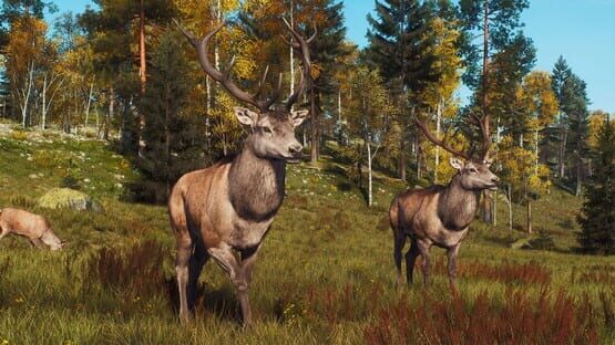 Way of the Hunter: Lintukoto Reserve screenshot 5