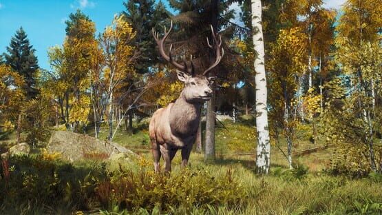 Way of the Hunter: Lintukoto Reserve screenshot 7