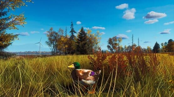 Way of the Hunter: Lintukoto Reserve screenshot 8