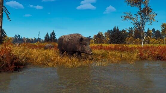 Way of the Hunter: Lintukoto Reserve screenshot 12