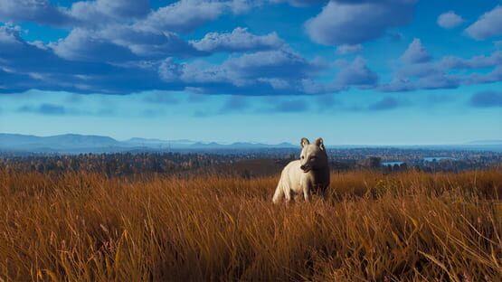 Way of the Hunter: Lintukoto Reserve screenshot 15