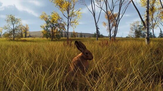 Way of the Hunter: Lintukoto Reserve screenshot 18