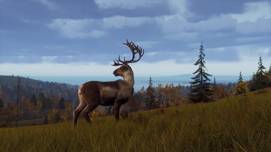Way of the Hunter: Lintukoto Reserve screenshot 19
