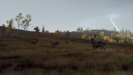 Way of the Hunter: Lintukoto Reserve screenshot 20