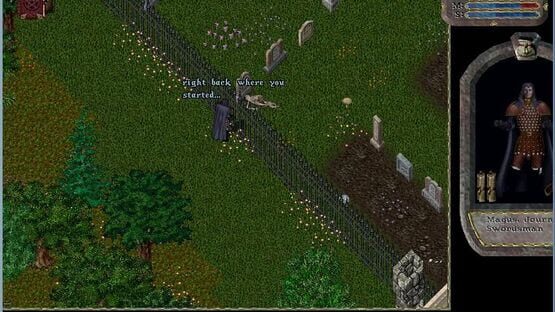 Ultima Online: Renaissance screenshot 2