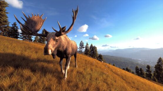 Way of the Hunter: Wild Expeditions screenshot 7