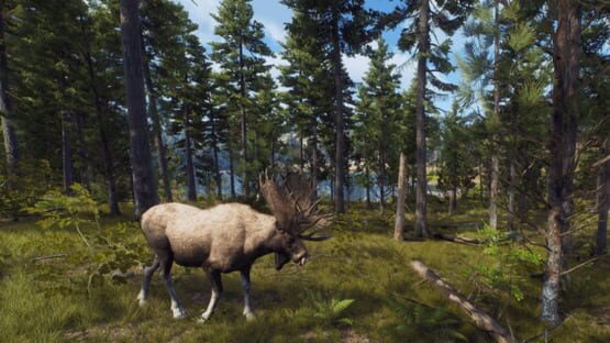 Way of the Hunter: Wild Expeditions screenshot 4