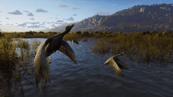 Way of the Hunter: Wild Expeditions screenshot 5