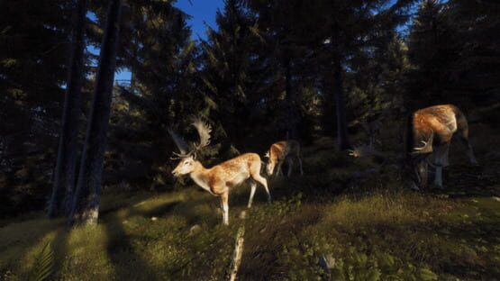 Way of the Hunter: Wild Expeditions screenshot 10