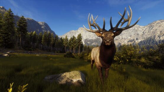 Way of the Hunter: Wild Expeditions screenshot 14