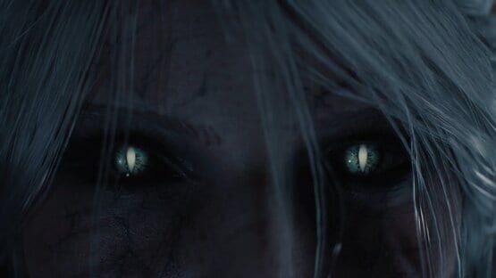 The Witcher IV screenshot 5
