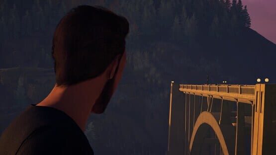 Detective Bundle 4 in 1 screenshot 5