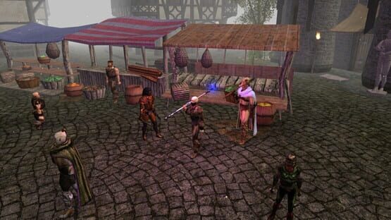 Neverwinter Nights: Enhanced Edition - Doom of Icewind Dale screenshot 5