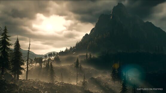 Days Gone: Broken Road screenshot 10
