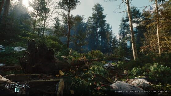 The Witcher IV screenshot 6