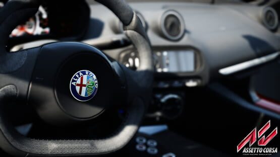 Assetto Corsa screenshot 2