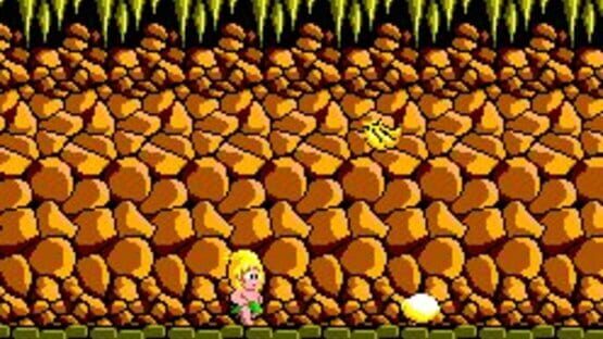 Wonder Boy screenshot 4