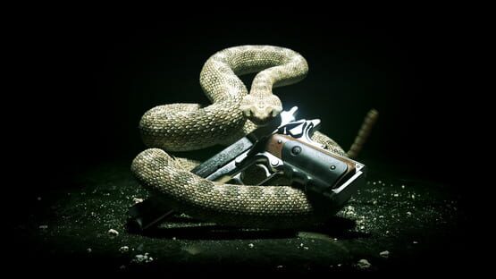 Hitman: Absolution artwork 9