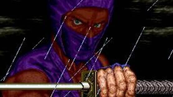 Ninja Gaiden screenshot 8