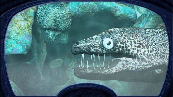 Nancy Drew: The Creature of Kapu Cave screenshot 2