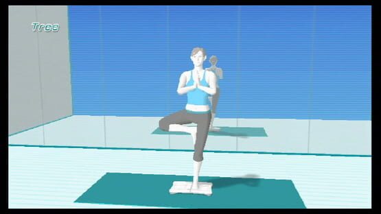 Wii Fit screenshot 12