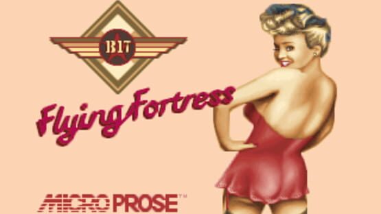 B17 Flying Fortress screenshot 1